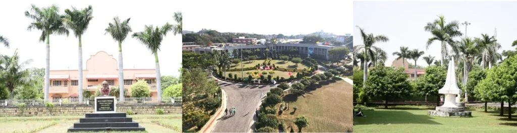 MGCGV infrastructure