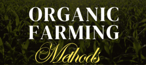 advantages and disadvantages of organic farming