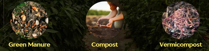 how become agriculture entrepreneur