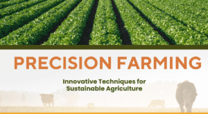 Precision agriculture in India