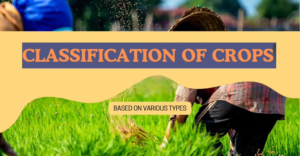 classification of crops