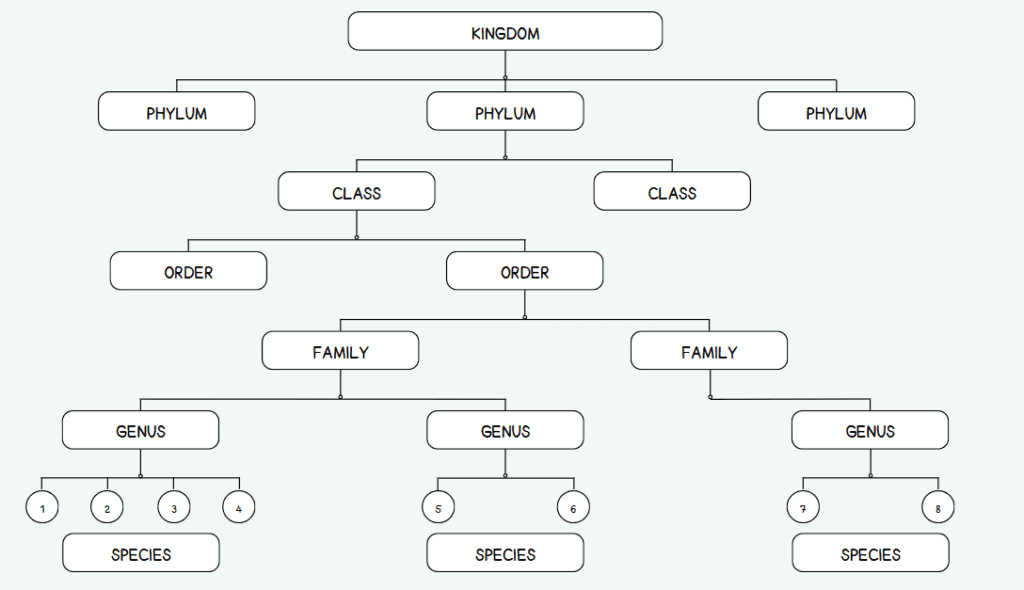 living organism classification