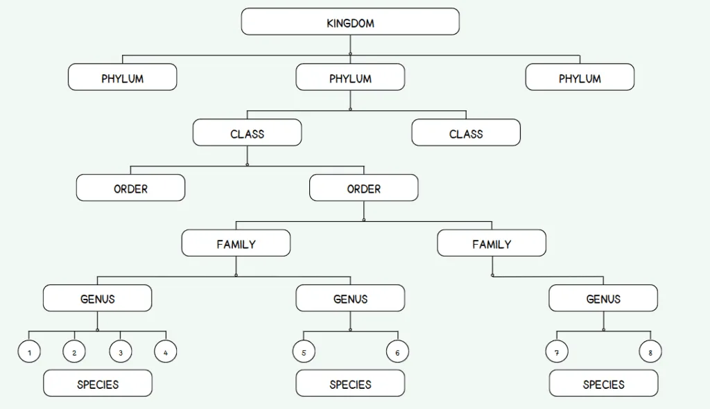 living organism classification
