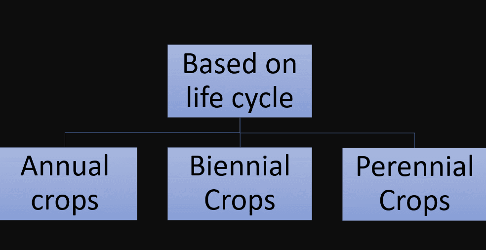 crop classification based on life cycle