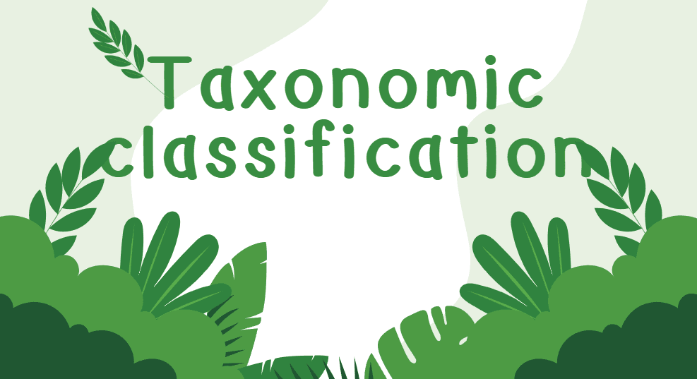 plant classification based on taxonomic