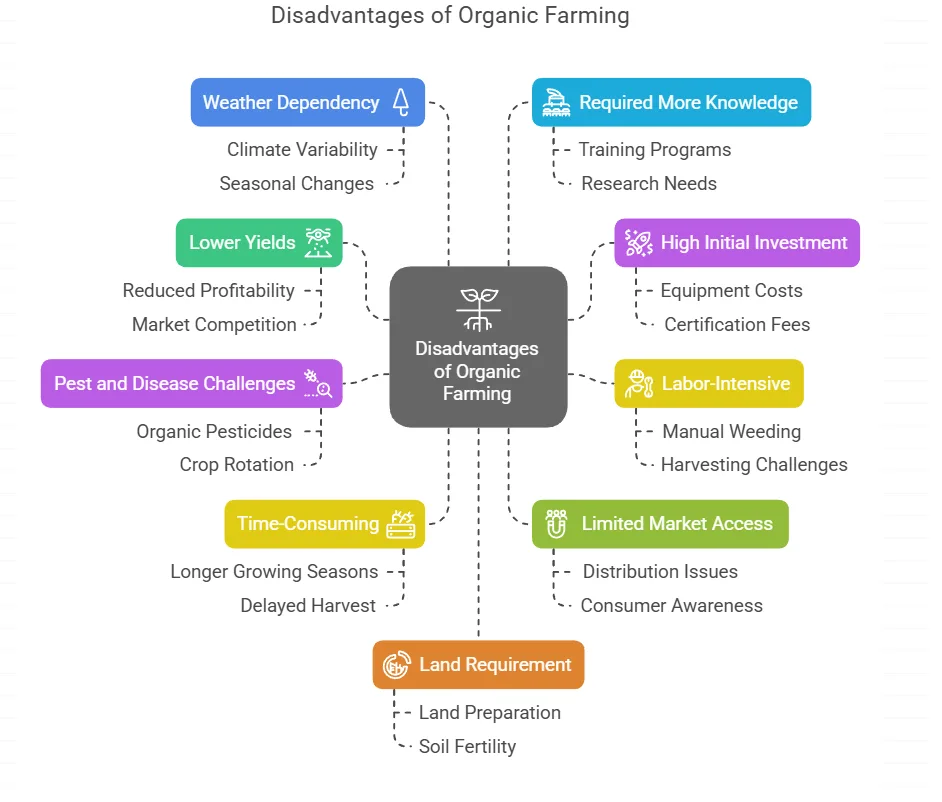 10 Disadvantages of organic farming