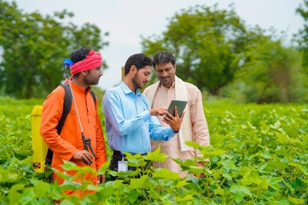 field manager of agriculture
