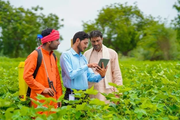 field manager of agriculture