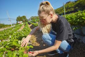 Environmental Sciences internship