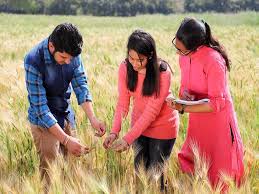 Agriculture Marketing Advisor