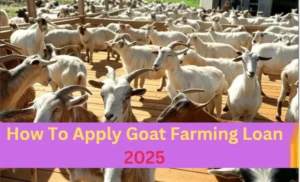 how to apply goat farming loan