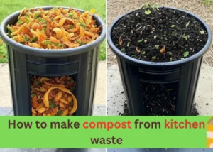 how to make compost from kitchen waste​