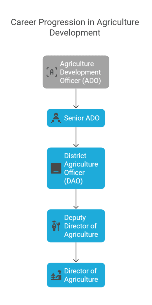 Agriculture Development Officer: Career Growth & Promotions
