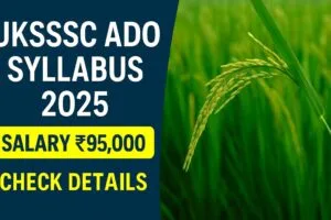 UKSSSC ADO Syllabus 2025