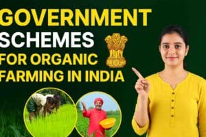 government schemes for organic farming in india​ 2025