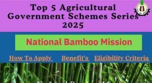 National Bamboo Mission
