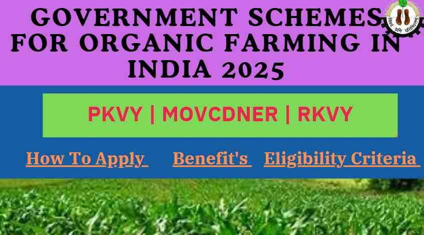 government schemes for organic farming in india 2025