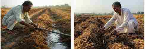 Soil Aeration (Waaphasa) Technique in Zero Budget Natural Farming