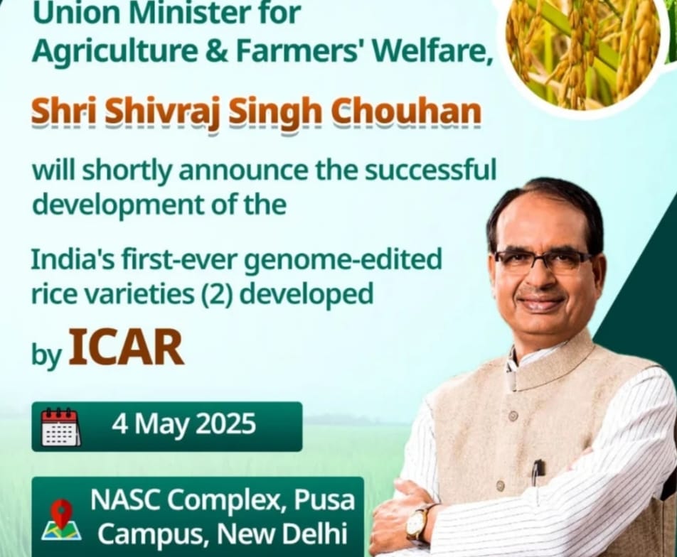 Two Genome edited rice varieties released by ICAR