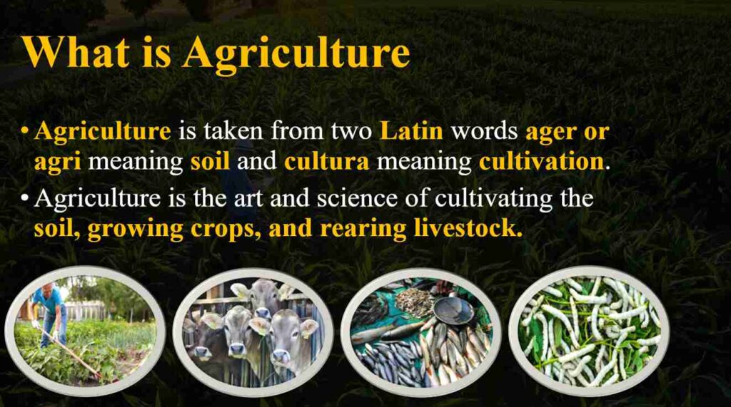 What is agriculture ppt image