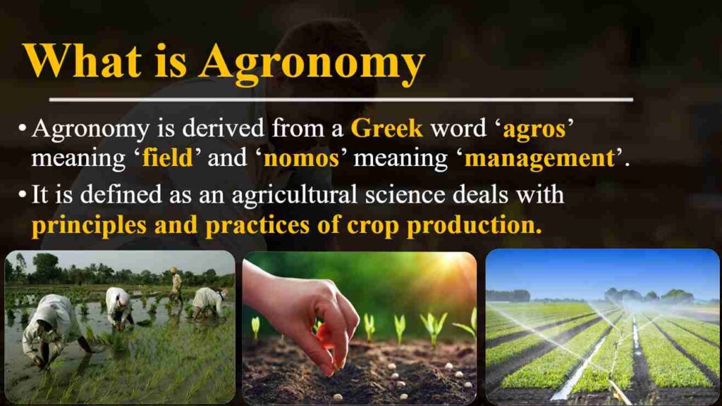 What is agronomy ppt image