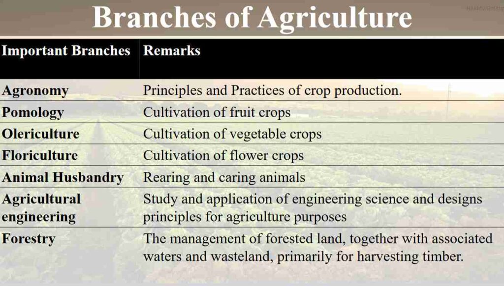 branches of agriculture ppt image