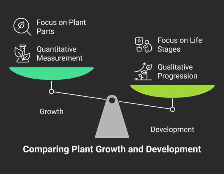 What is the correct difference between "growth" and "development" in plants?