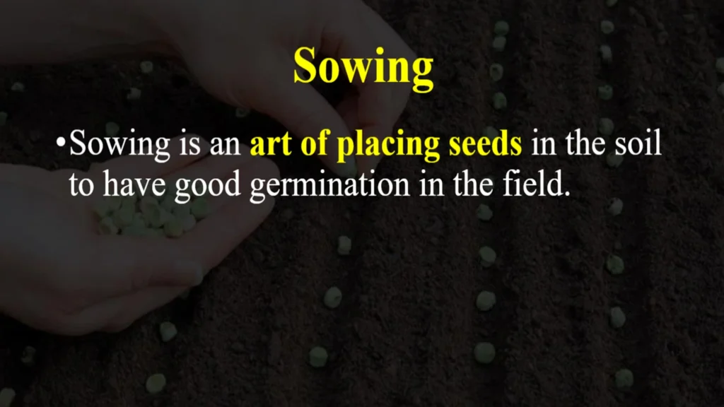 What is sowing