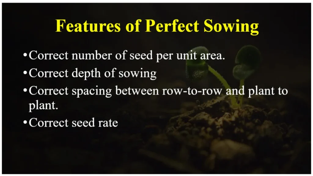 Feature of perfect sowing
