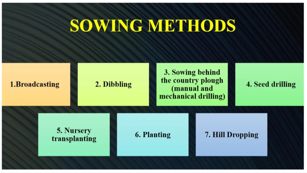 Sowing methods