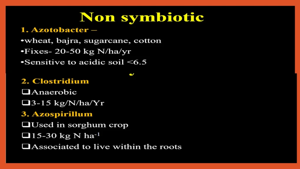 Non symbiotic nitrogen fixing bacteria