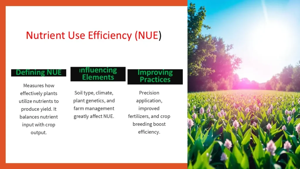 nutrient use efficiency ppt