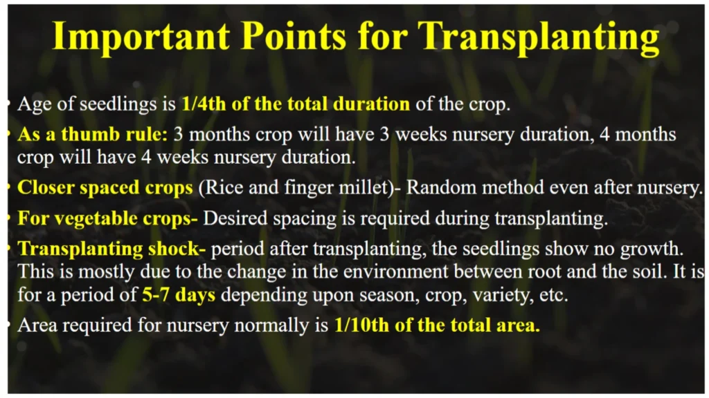 Important points of transplanting