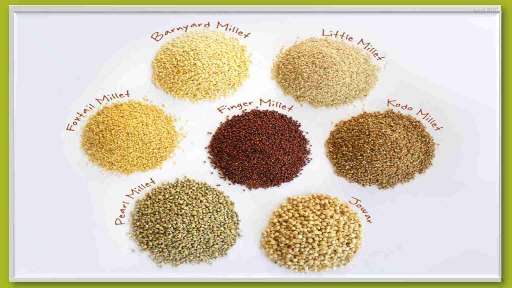 millets crops examples