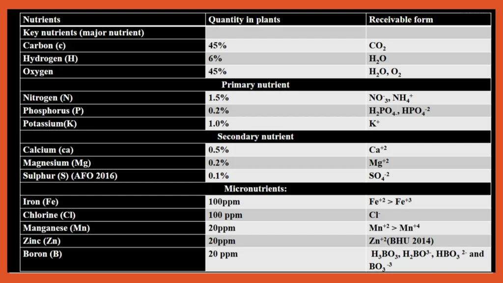17 essential plant nutrients and their functions ppt