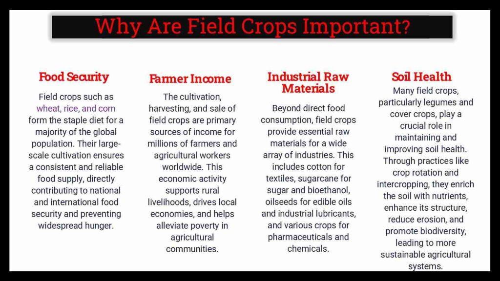 importance of field crops