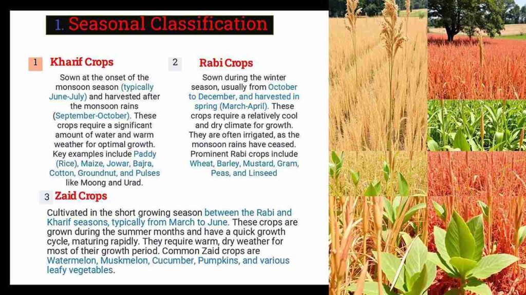 field crop classification based on season