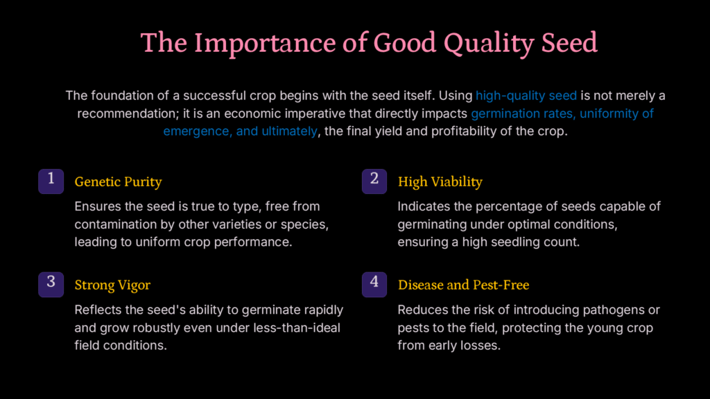Importance of good quality seed