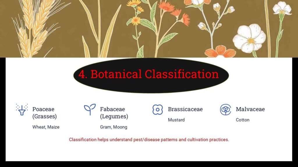 field crop classification based on botnical classification