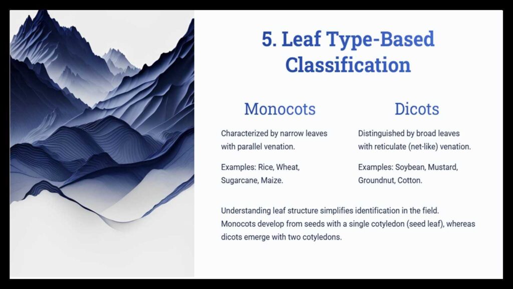 field crop classification based on leaf type