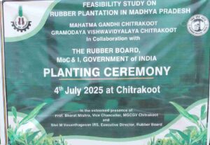 first time rubber plantation in Madhya Pradesh