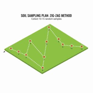 Step-by-Step Process how to collect soil sample for soil testing zig zag pattern